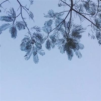 蓉平：修复战国漆床是成都文化基因的现代表达